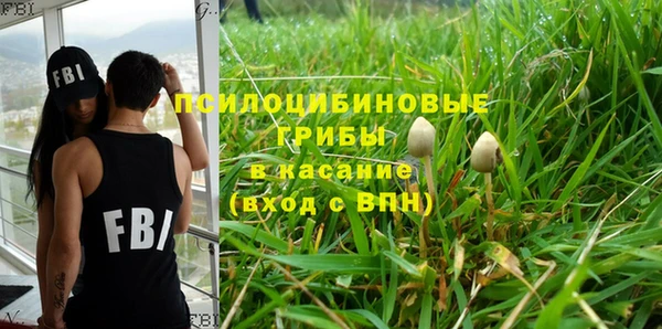 дурь Балахна