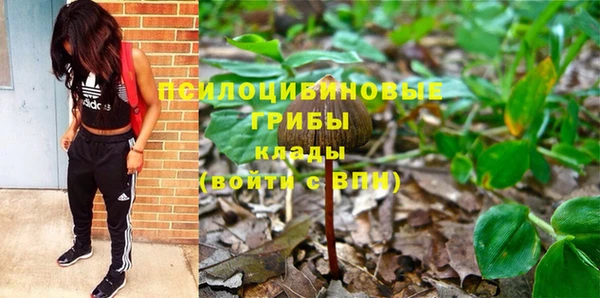дурь Балахна