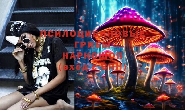 бутират Баксан