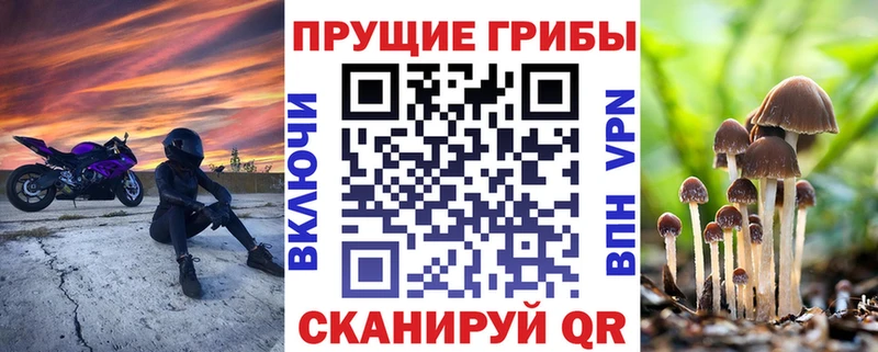 Псилоцибиновые грибы Magic Shrooms  Кунгур 